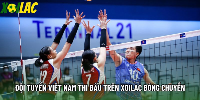 Đội tuyển Việt Nam thi đấu trên xoilac bóng chuyền