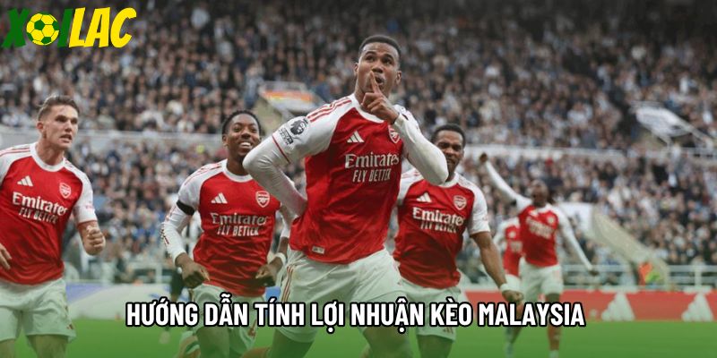 Hướng dẫn tính lợi nhuận kèo malaysia Hướng dẫn tính lợi nhuận kèo malaysia