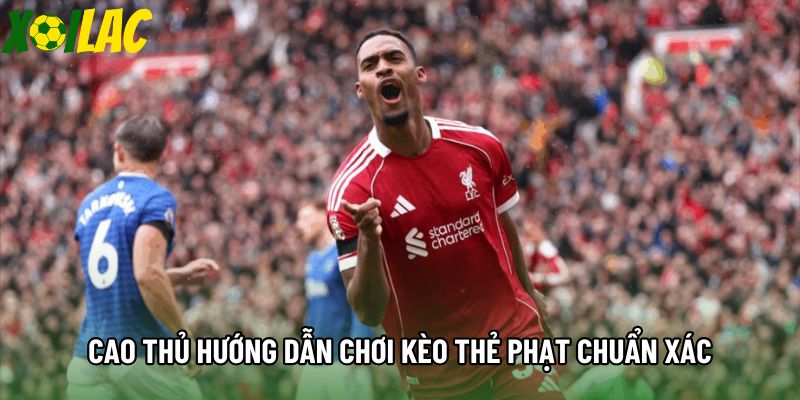 Cao thủ hướng dẫn chơi kèo thẻ phạt chuẩn xác