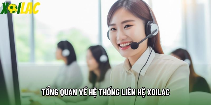 Tổng quan về hệ thống liên hệ Xoilac