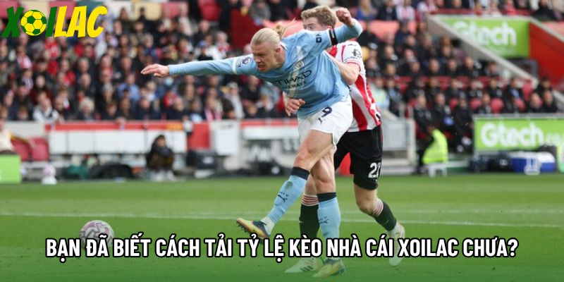 Bạn đã biết cách tải tỷ lệ kèo nhà cái Xoilac chưa?