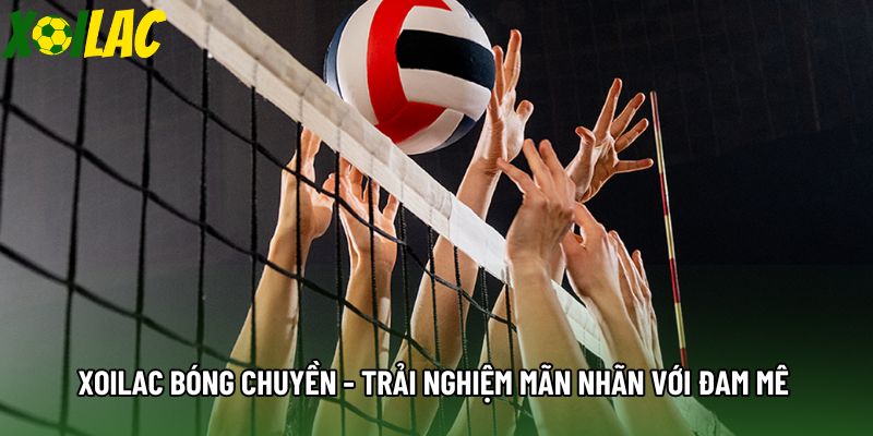 Xoilac Bóng Chuyền - Trải Nghiệm Mãn Nhãn Với Đam Mê