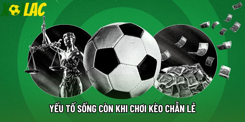 Yếu tố sống còn khi chơi kèo chẵn lẻ